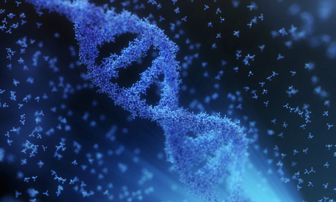 Junk DNA? Or Does It Reveal The Source Of Our Mind & Intelligence?